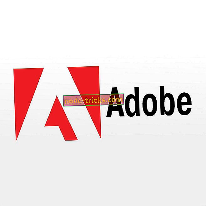 Det oppsto et problem med å koble til Adobe online [Fix]