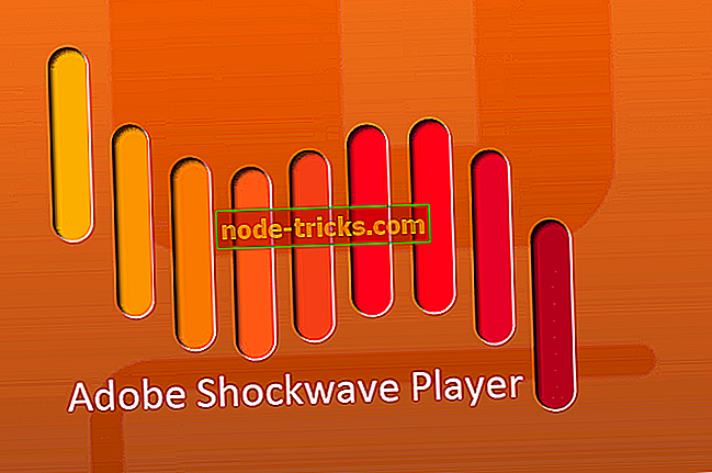 SABİT: Shockwave Flash Player Windows 10'da çöküyor