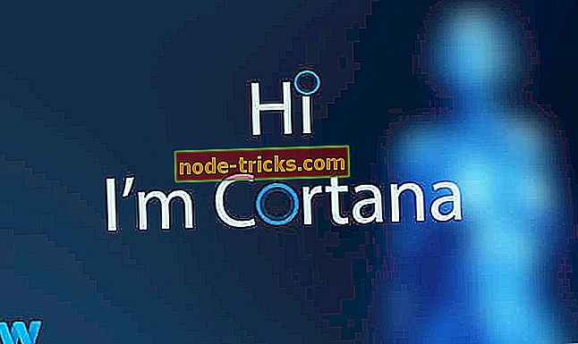 Oprava: Windows 10 Cortana kritická chyba