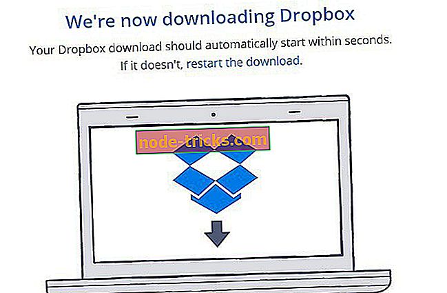 Fix: Dropbox “Interneti-ühendus puudub” Windows 10-s, 8.1