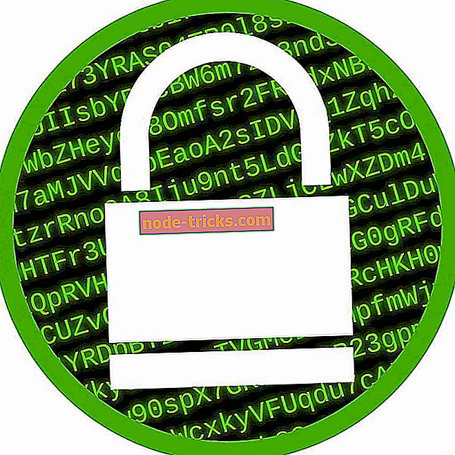 programinė įranga - 17 geriausių 256 bitų šifravimo programinė įranga, skirta apsaugoti jūsų failus