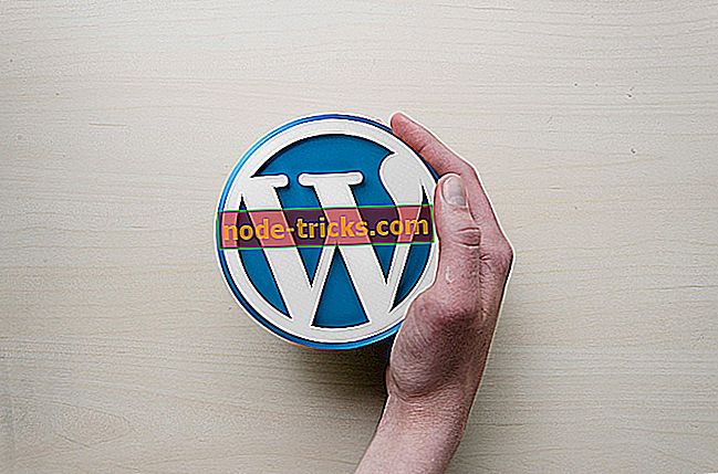 5 geriausios „WordPress“ interneto dizaino programinės įrangos, skirtos padidinti jūsų svetainę